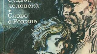 Сайт кракен что это такое