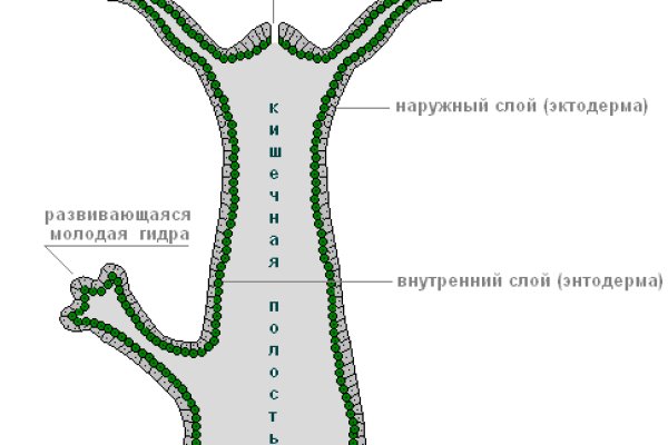 Kraken сайт tor
