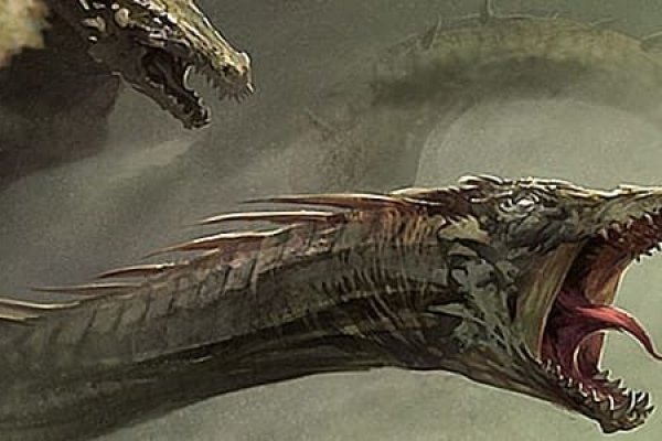 Kraken20at