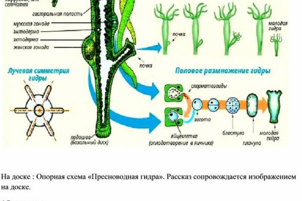 Взломали аккаунт кракен