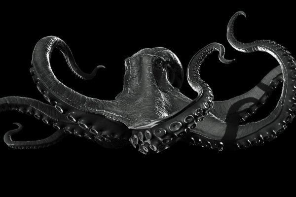 Kraken 19 at