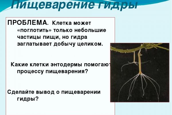 Что с кракеном сайт