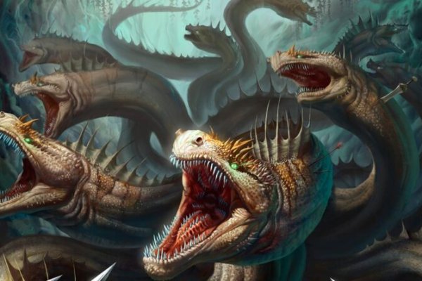 Kraken 13 at com