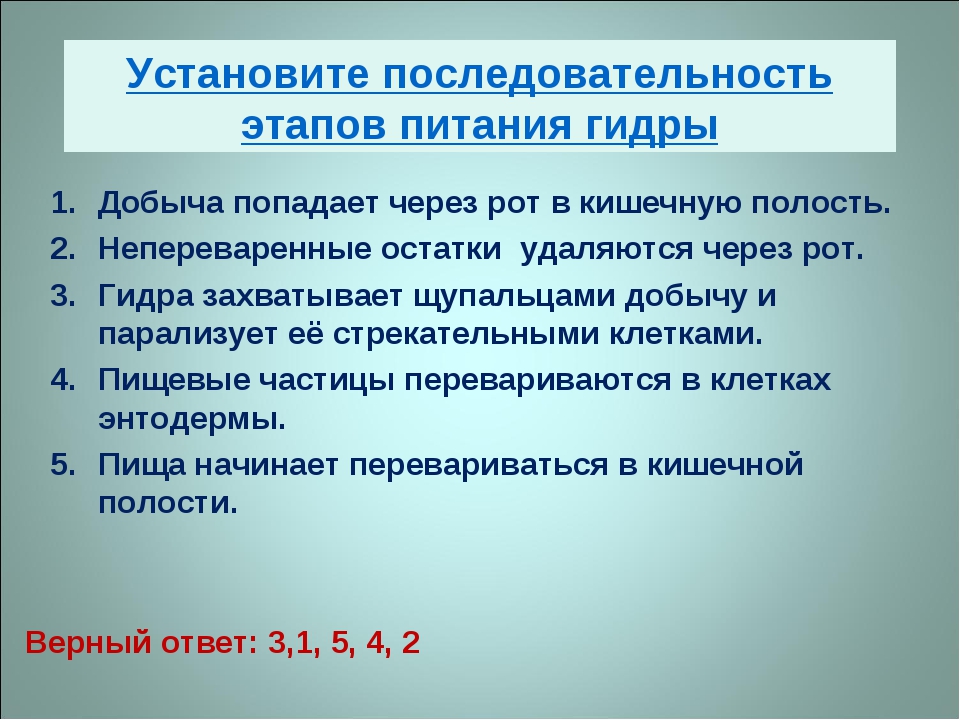 Кракен кз